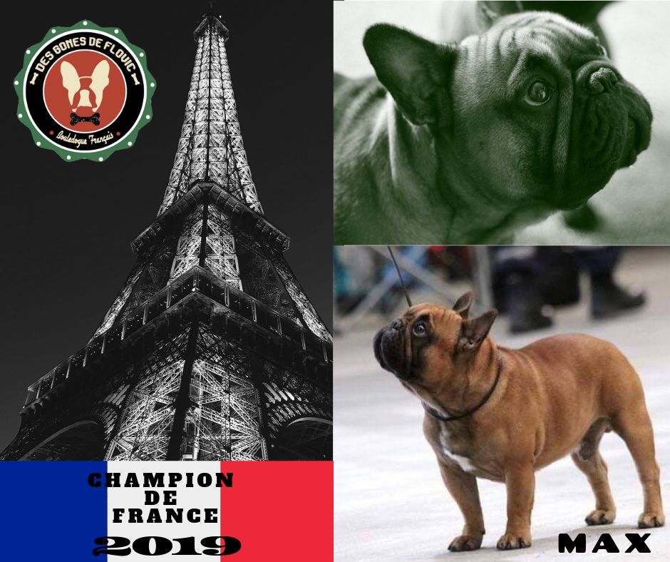 CH. Max il est libre De La Roche De Balvenie