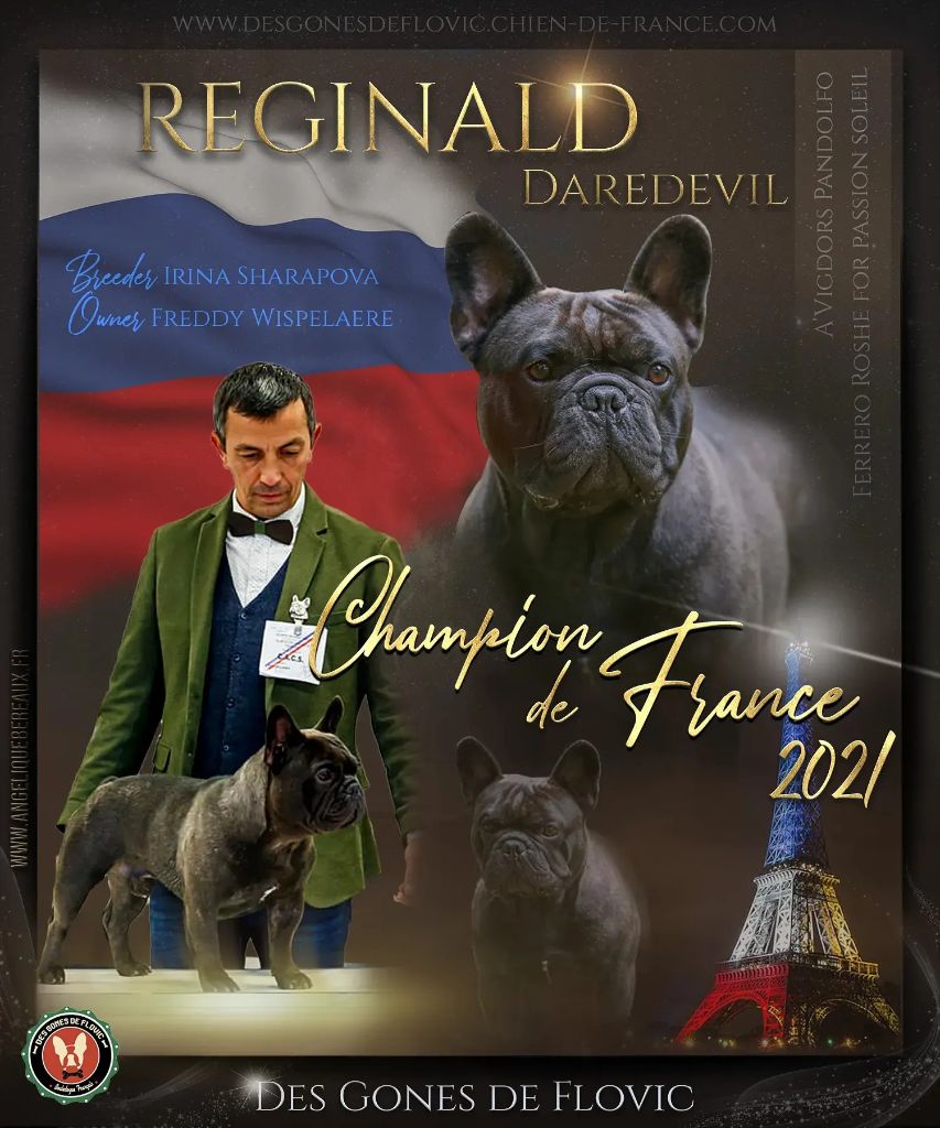 CH. Reginald daredevil irina sharapova